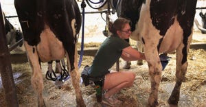 Laura Kriedeman, a high school sophmore, milks cows on Hinchley's Dairy Farm where she works part-time on April 25, 2017, nea