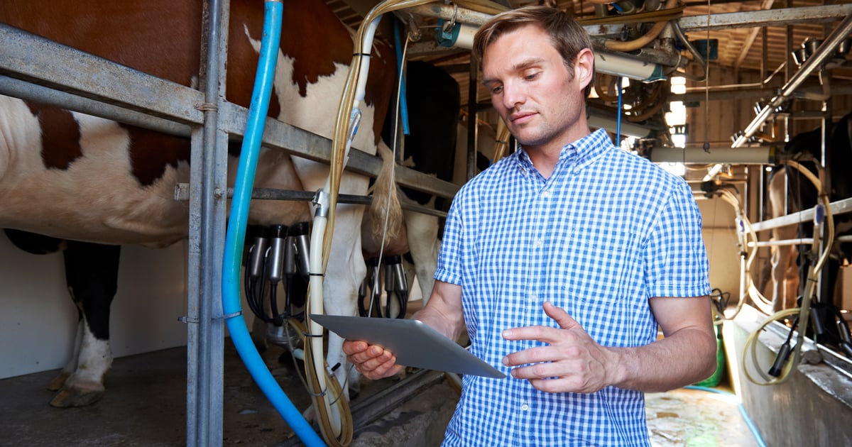 The $345-per-cow opportunity in your milk tank