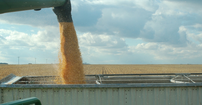 auger loading corn into grain cart