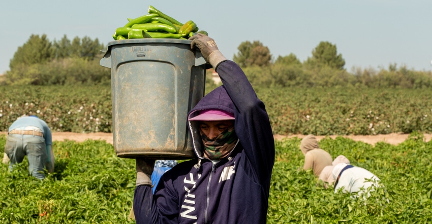 WFP-fitchette-hartman-farms.jpg WFP-fitchette-hartman-farms.jpg