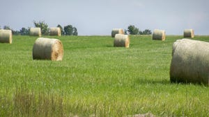 round hay bales scattered across a field