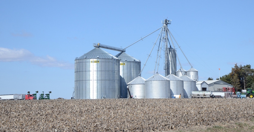 silos in a corn field