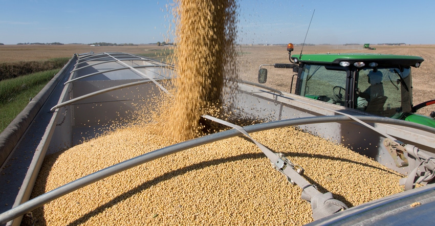 harvest soybeans being loaded into cart