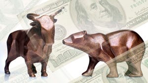 bull and bear with money in background