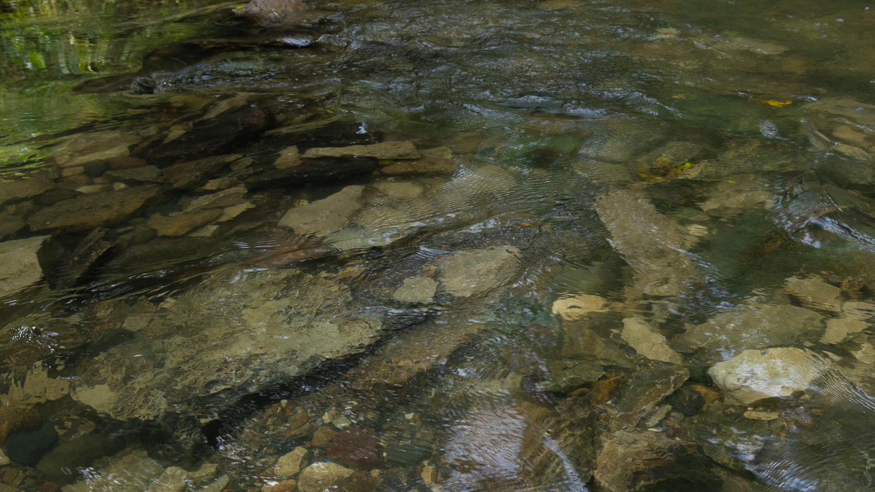 Ire over poor water quality grows among Iowa farmers