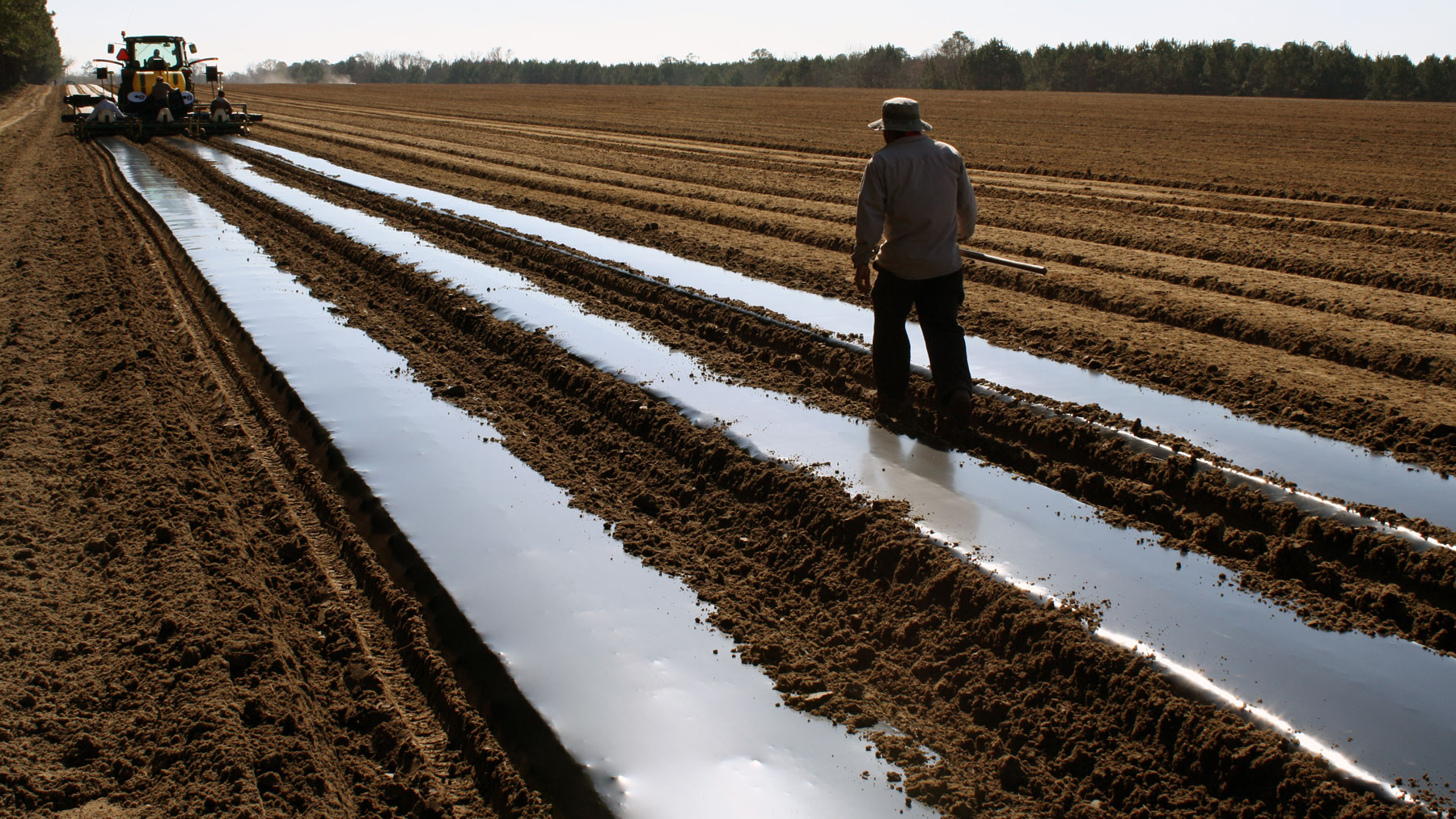 Transparency in Crop Protection