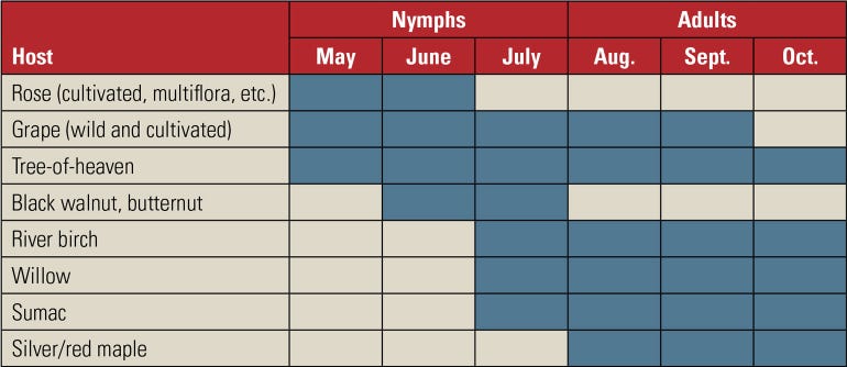 Graph shows the most likely plants latternflies will feed on by month