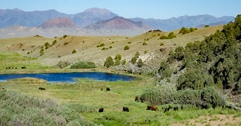 Nevada ranch wins regional stewardship award