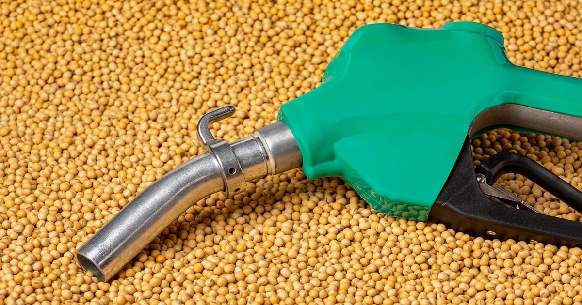 How long can soy oil prop up the soybean market?