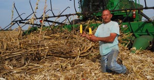 Don Van Dyke in his field of early harvested downed corn.