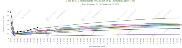 Corn total commitments for Mexico