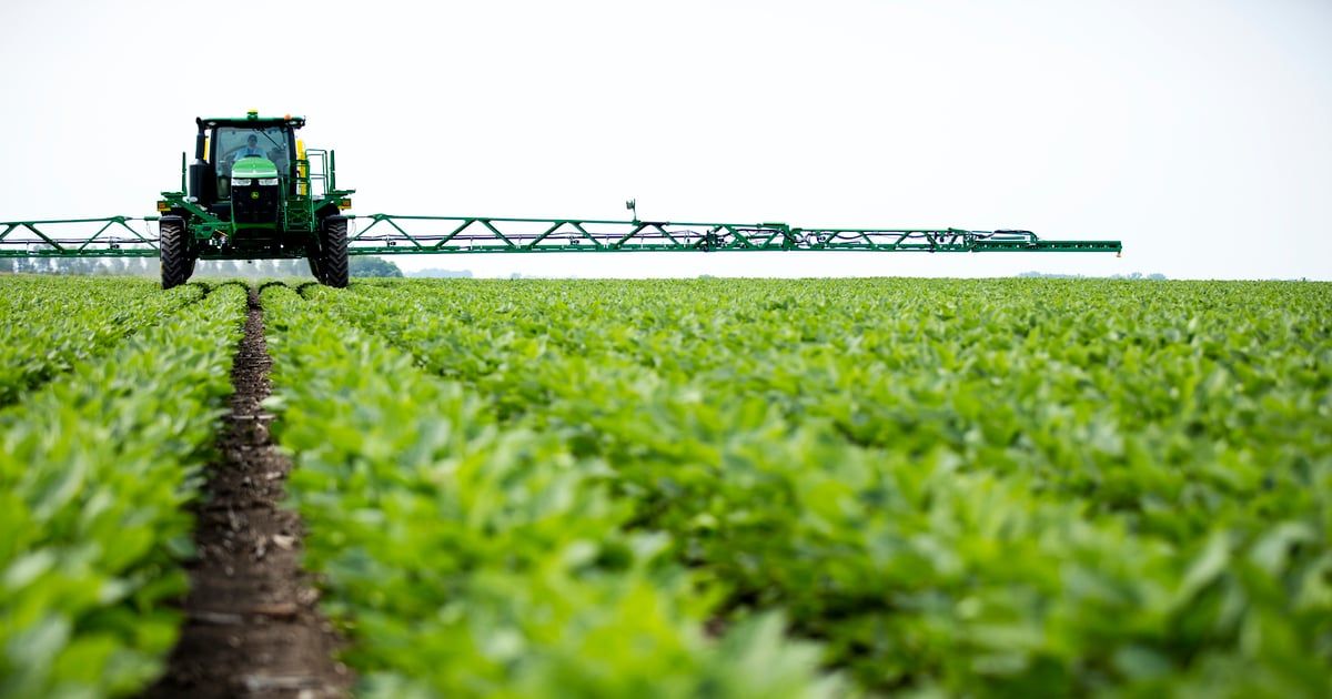 Lessons from 2025: 3 ways to improve weed control