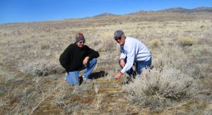 Nevada cheatgrass research