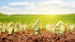 U.S. hundred dollar bills growing out of the soil
