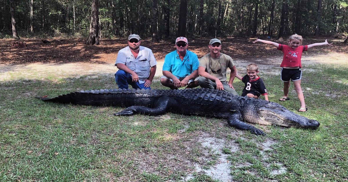 Three Extension specialists go gator hunting, and this happened