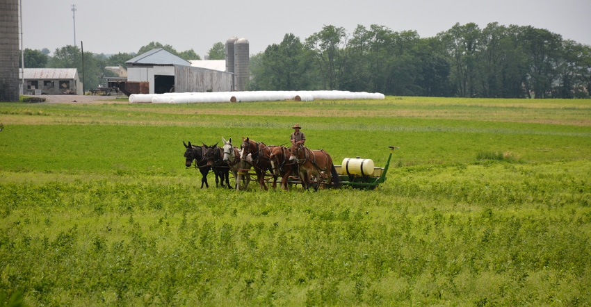 A farmer near Schaefferstown, Pa. drives a planter with a team of horses