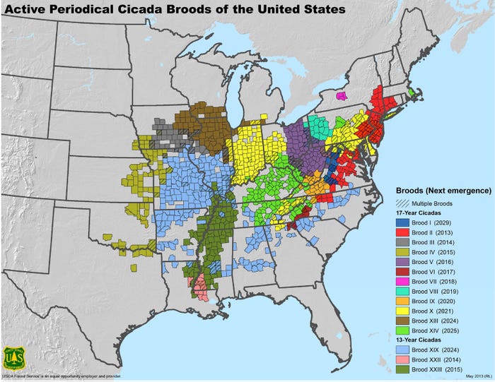 U.S. map of active periodical cicada broods