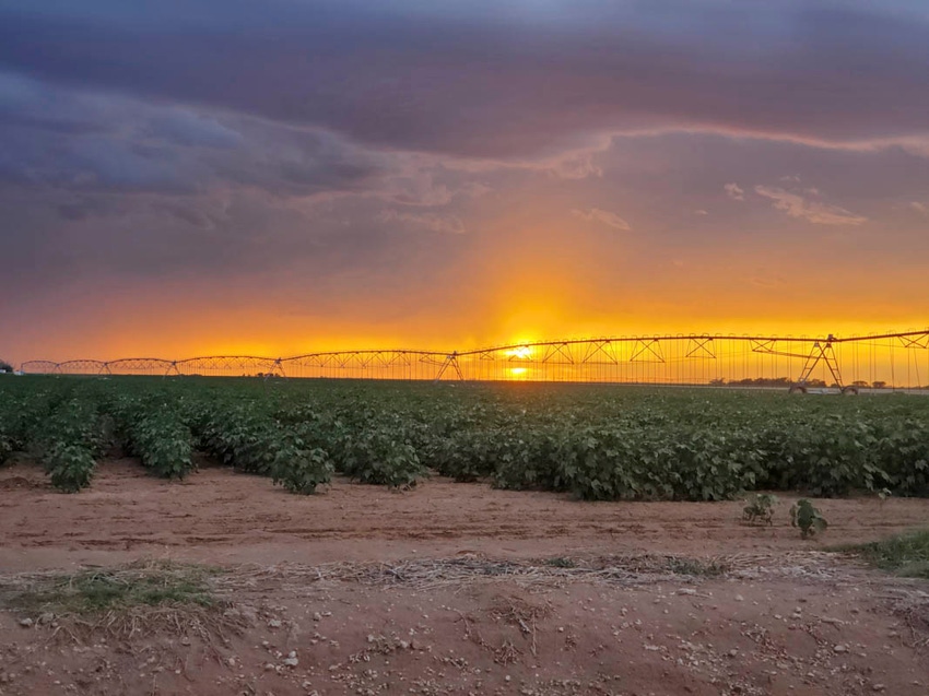 swfp-shelley-huguley-sunset-clouds-20-31.jpg swfp-shelley-huguley-sunset-clouds-20-31.jpg