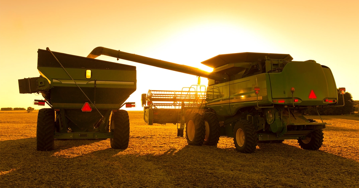 The weather takes a bite out of wheat acres