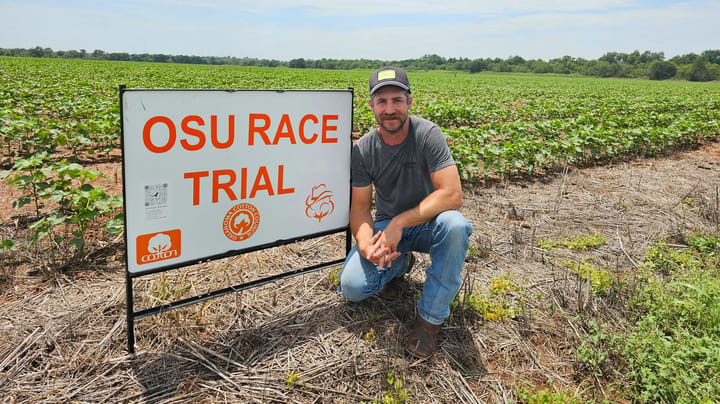 RACE trials help producers match cotton varieties to soil