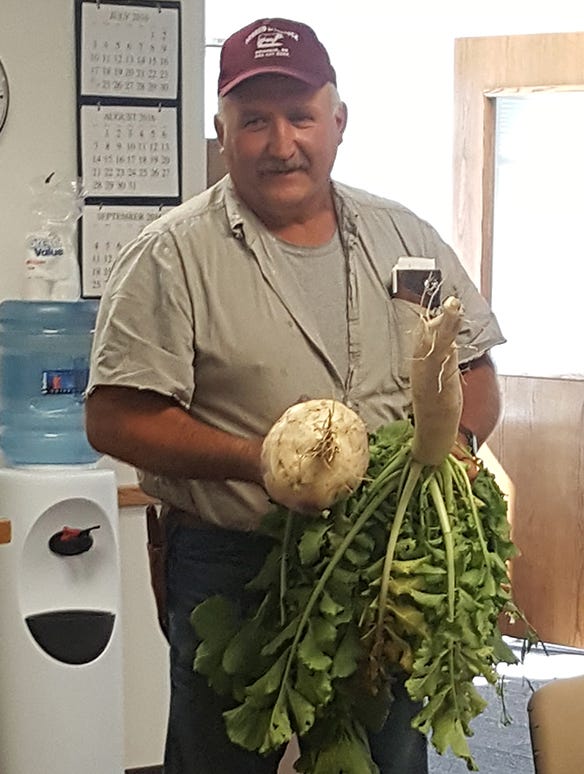 Randy Kudrna holding turnip from cover crop planting