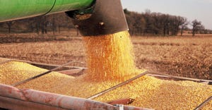 auger loading corn into truck