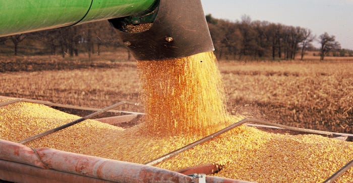 auger loading corn into truck