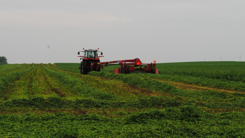 disc mower in alfafa field disc mower in alfafa field