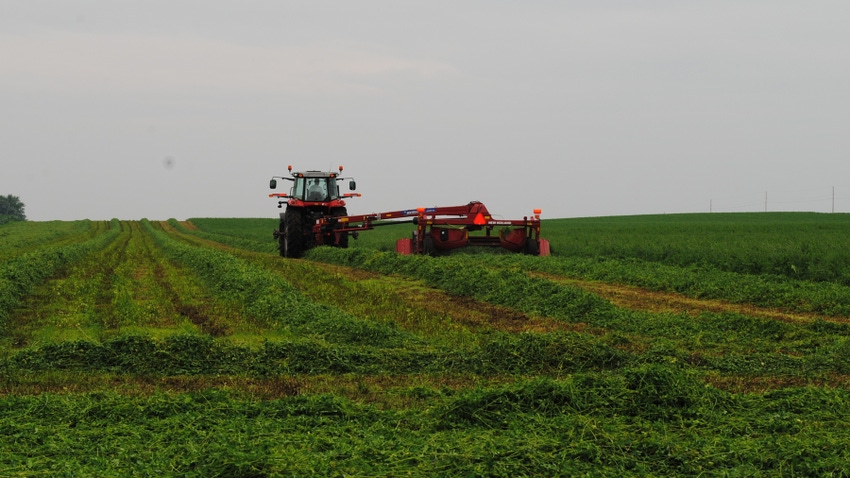 disc mower in alfafa field