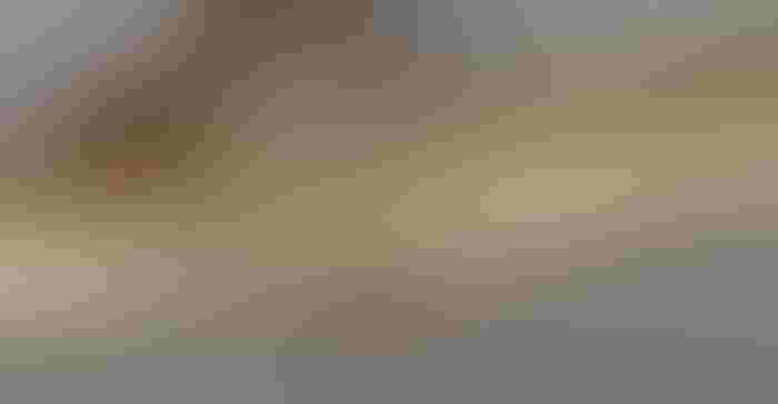 0902H2-1457B-1540x800.jpg 0902H2-1457B-1540x800.jpg