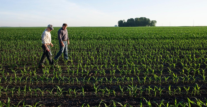 3-09-21 scouting beans and cornjpg.jpg