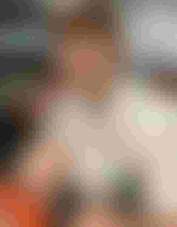 0217H2-2020B-584x1130.jpg 0217H2-2020B-584x1130.jpg