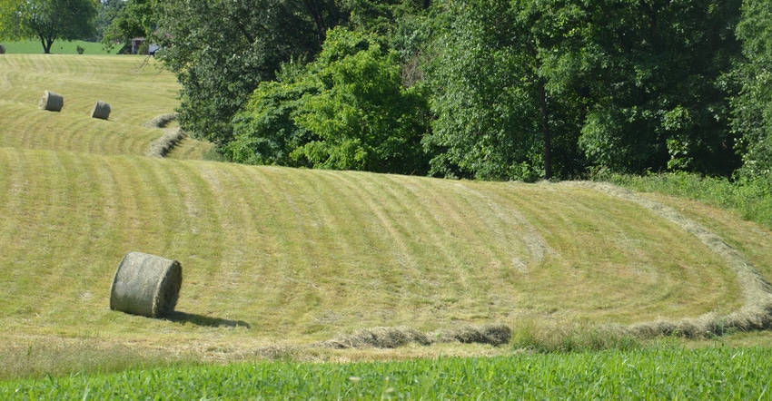 rolling hills with hay bales