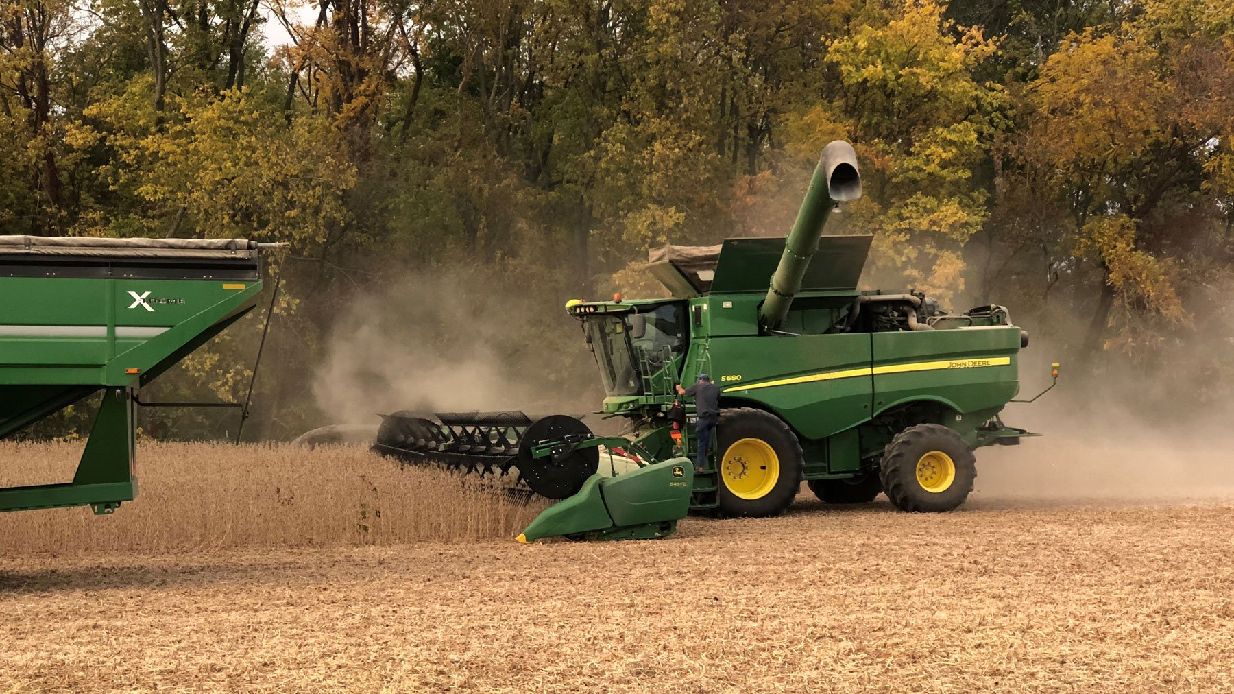 Tips to reduce soybean loss at harvest - Vimarsana News