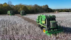 This Week in Agribusiness - Cotton Harvest