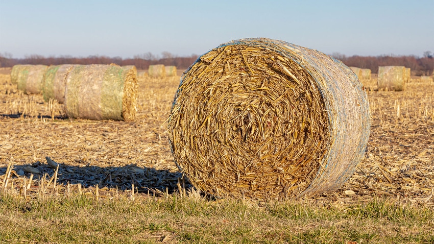 Round hay bales in a freshly cut field