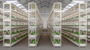 vertical farming costs create challenge