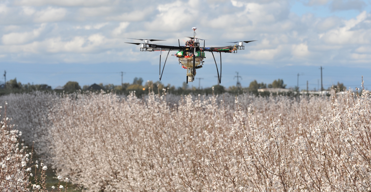 løfte ægtefælle Prædike Dropcopter creates buzz with pollinating drones