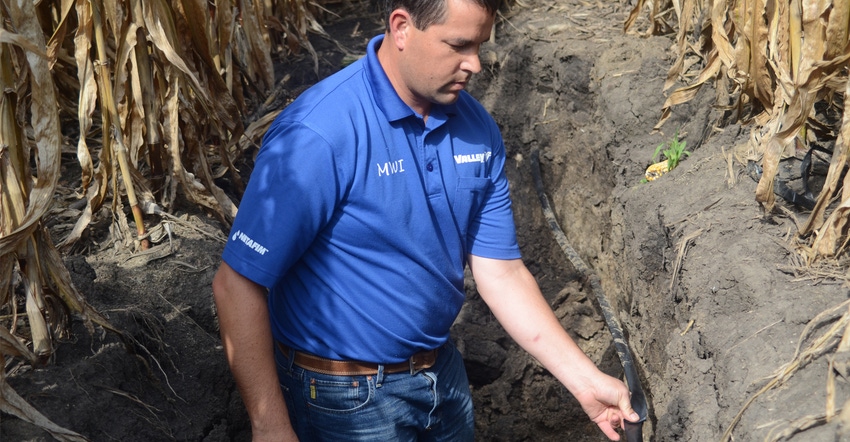 Kurt Grimm, COO of NutraDrip in Hiawatha, Kan in ditch inbetween rows of corn looking at rubber hose used for drip irrigation