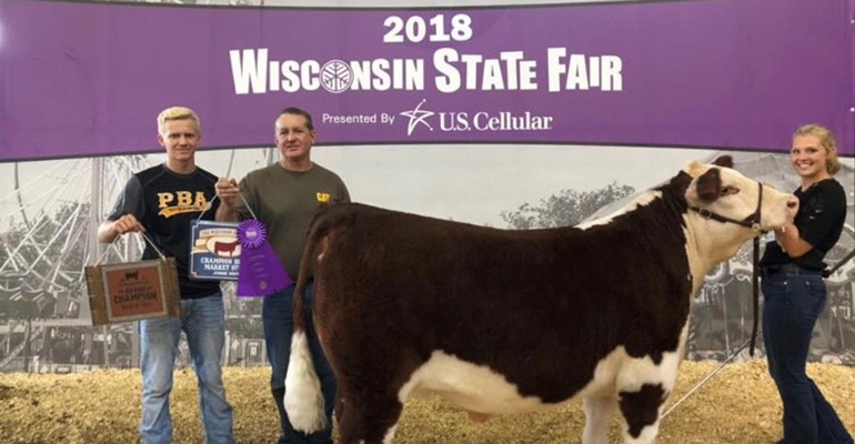 Taylor Schaefer showing steers at the Wisconsin State Fair 