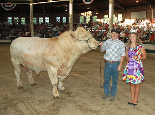 081511bigbullfull.jpg 081511bigbullfull.jpg