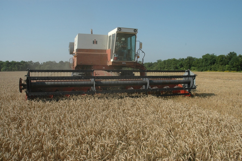 SWFP-RonSmith-wheat=Harvest - Copy.JPG