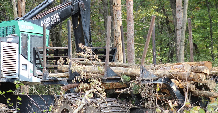 machinery removing logs and timber in forest