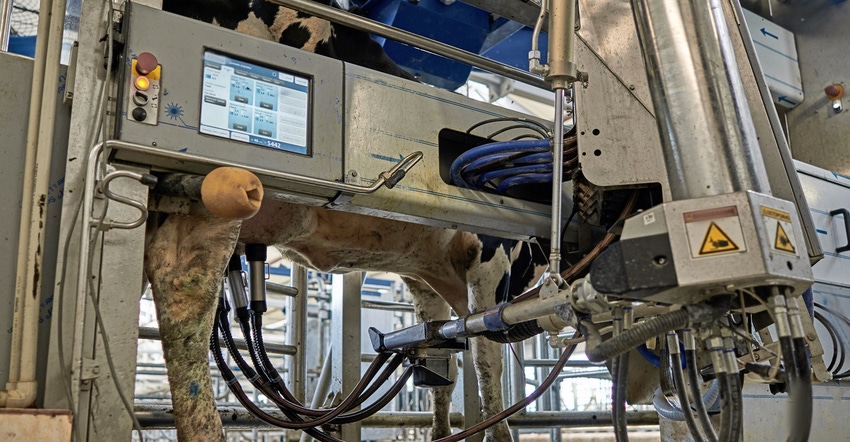 voluntary cow milking system