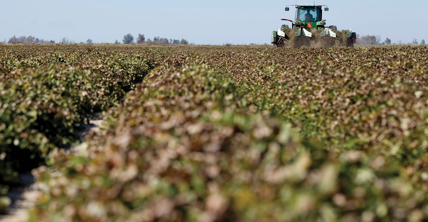 peanut-harvest-kerry-rodtnick-uark.jpg peanut-harvest-kerry-rodtnick-uark.jpg