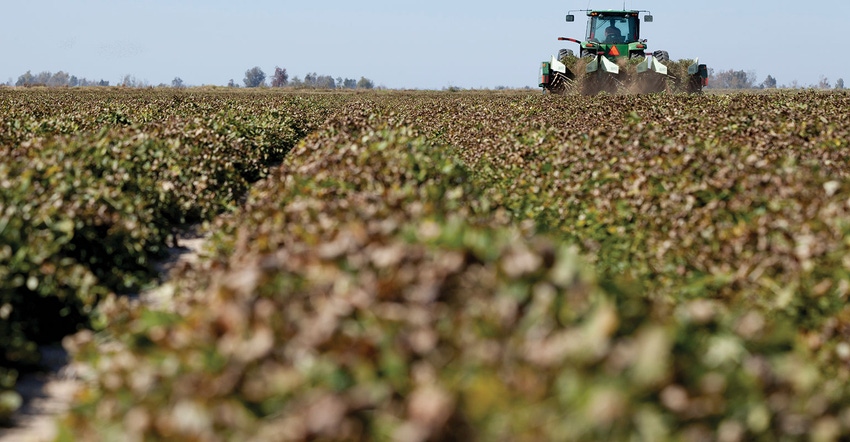 peanut-harvest-kerry-rodtnick-uark.jpg