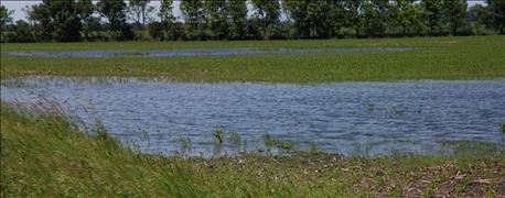 wetland_mitigation_bank_south_dakota_moves_ahead_1_635695437788670589.jpg