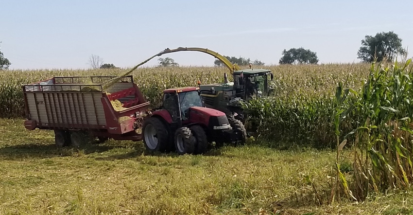 chopper and tractors harvesting corn