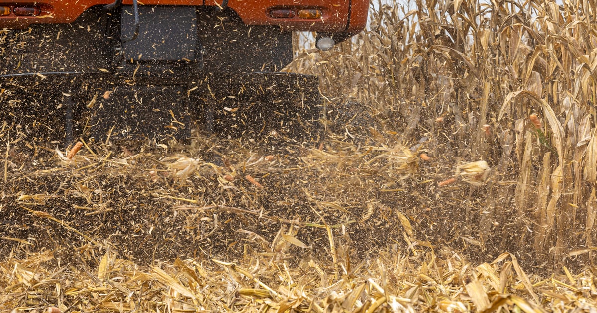 Don't let your soil, or profits, wash away this fall
