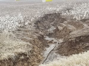 Erosion in a cotton field